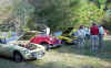 cars2.jpg (76339 bytes)