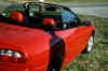 car19.jpg (64654 bytes)