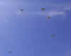 Dcp_0074r.jpg (16799 bytes)
