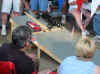 Img_1909r.jpg (55802 bytes)