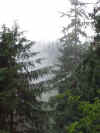 IMG_66500R.jpg (77559 bytes)
