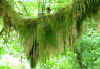 Img_6671R.jpg (103945 bytes)