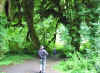 Img_6673R.jpg (108353 bytes)