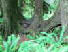 Img_6689R.jpg (114342 bytes)
