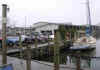 IMG_0504 R1.jpg (126540 bytes)