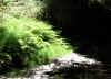 IMG_0833R.jpg (269498 bytes)