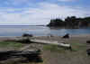 IMG_4477R.jpg (177925 bytes)