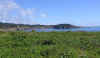 IMG_4493R.jpg (225743 bytes)