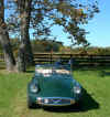 Hunt Country Classic,2008 024R.jpg (447291 bytes)