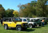 Hunt Country Classic,2008 058R.jpg (455141 bytes)