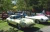 Hunt Country Classic,2008 113R.jpg (499525 bytes)
