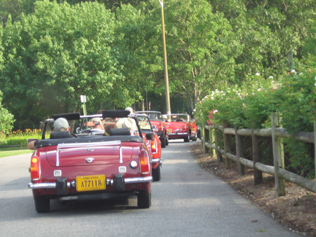IMG_9534