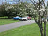 2-April 09 063R.jpg (478180 bytes)