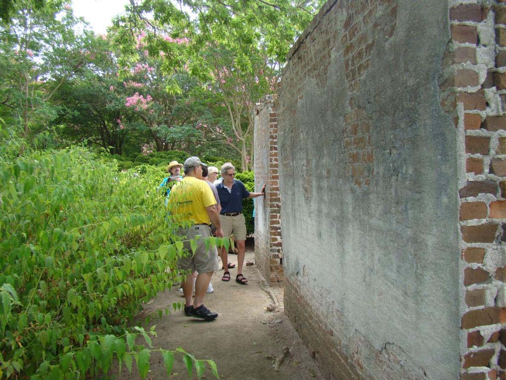 17_5DSC02020