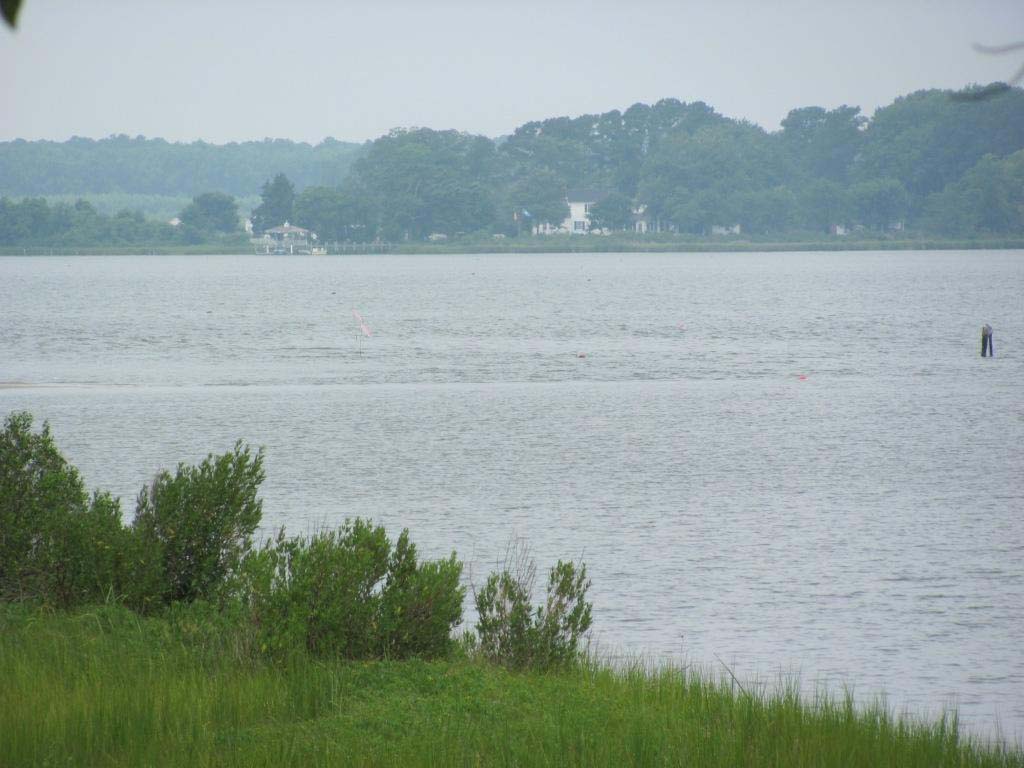 19_4IMG_0463