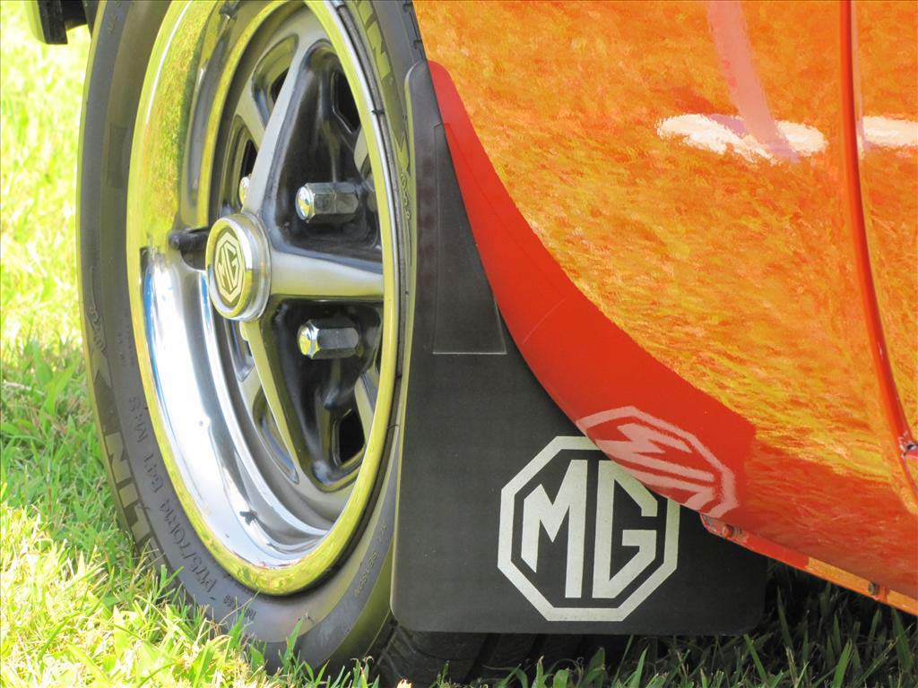 MEDIMG_0992