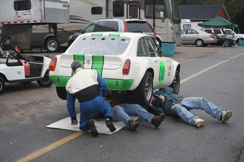 VIR2011IMG_4552