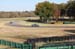 VIR2011IMG_5167