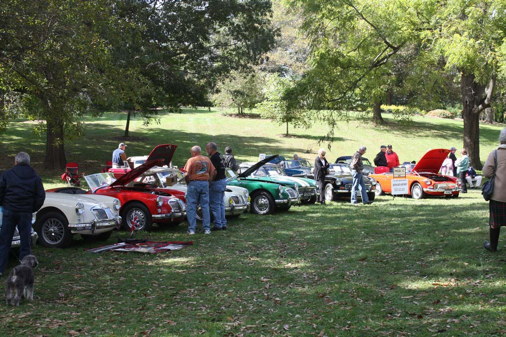 41mini-IMG_4072