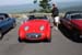 sat49-mini-IMG_2734