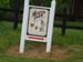 sun23-DSC03926