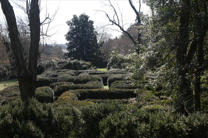 BPLANT_050