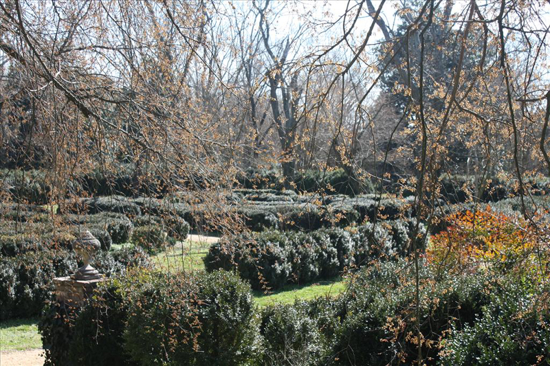BPLANT_051