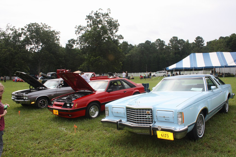 mini-IMG_6334