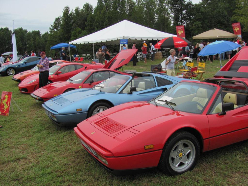 z111IMG_2610