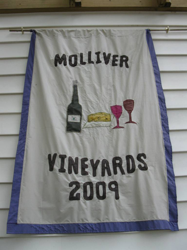 sat197IMG_2789c