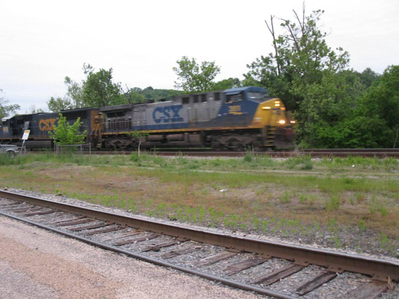 sat217IMG_2835