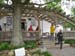 sat203aIMG_0498