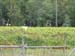 smbarksdale13_3606