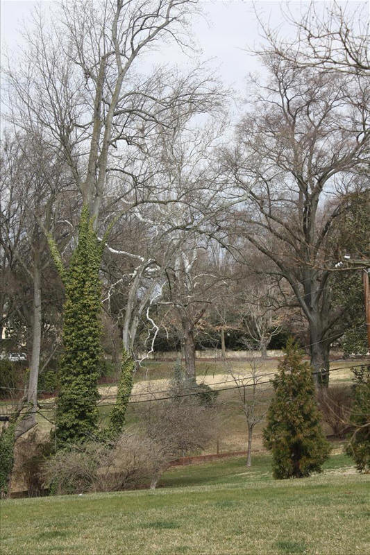 32agecroft-IMG_6970