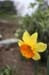 22agecroft-IMG_6957