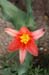 24agecroft-IMG_6961