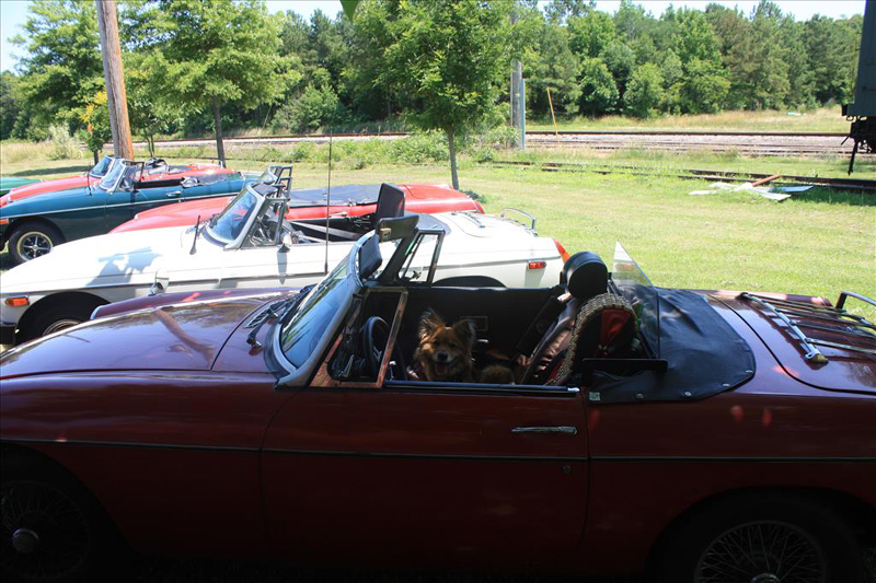 sm-IMG_7539
