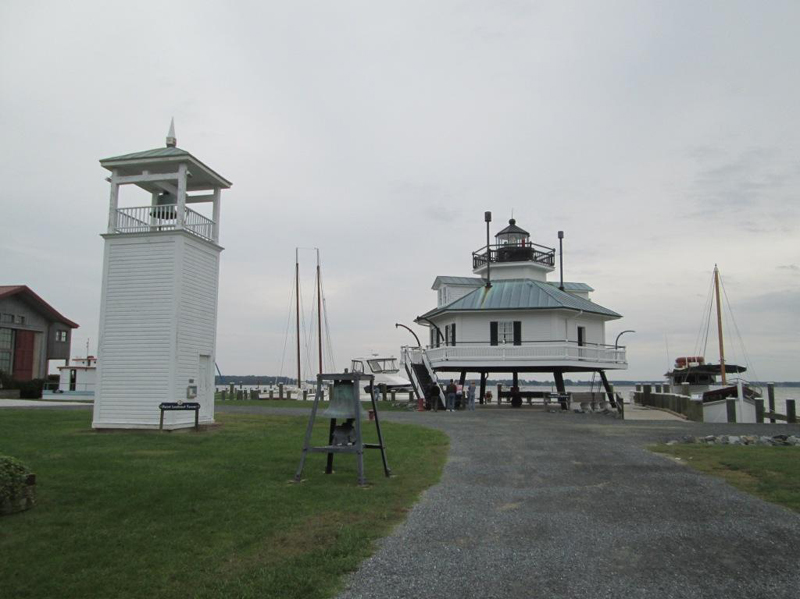 sat35IMG_2299