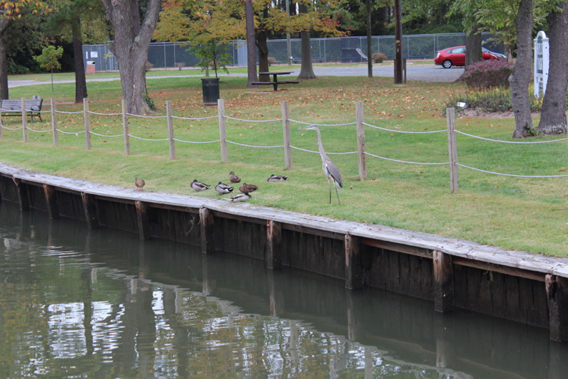 sat56f2013_10_19_0493