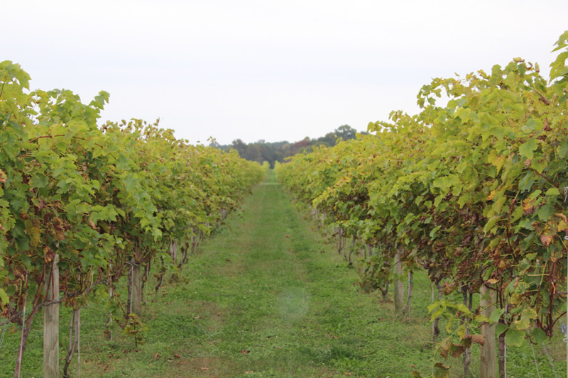 sat75a2013_10_19_0542