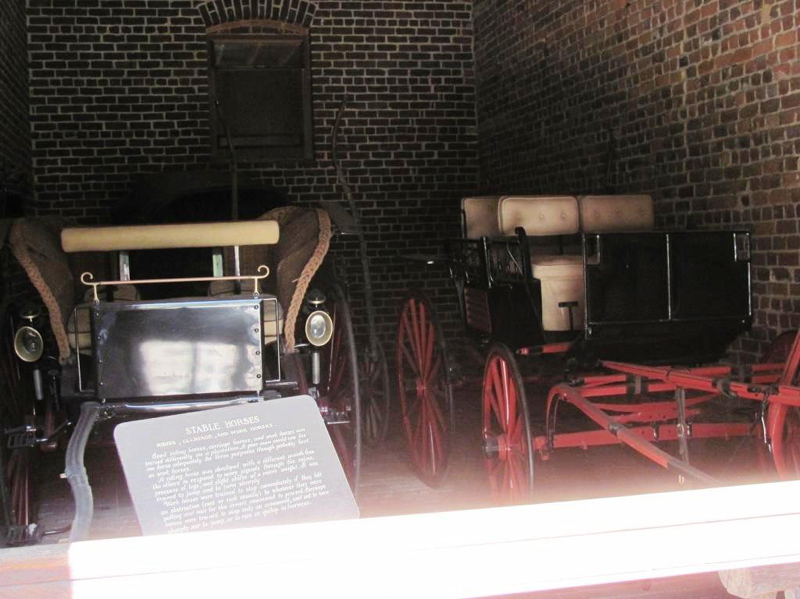 zmon35IMG_4038