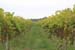 sat75a2013_10_19_0542