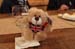 sat85smartbay_0173