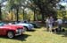 62smwaynes_0036