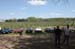 66sm-IMG_7218