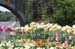 sa35m-IMG_7303