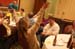 sat175sm-IMG_7390