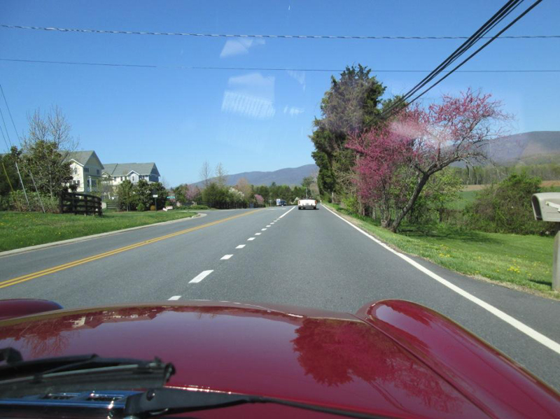 sa14IMG_0090