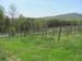 su45IMG_4241
