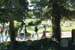 mini-IMG_3603